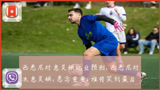 西悉尼对惠灵顿比分预测,西悉尼对决惠灵顿,悬念重重,谁将笑到最后