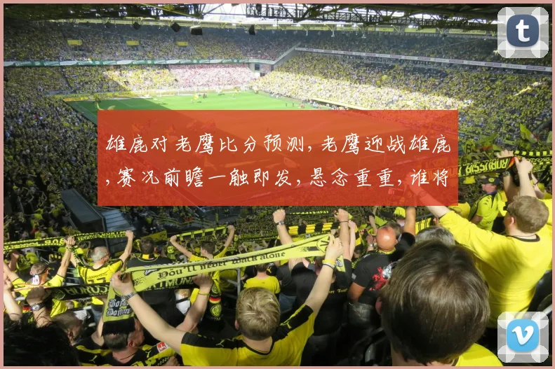 雄鹿对老鹰比分预测,老鹰迎战雄鹿,赛况前瞻一触即发,悬念重重,谁将问鼎