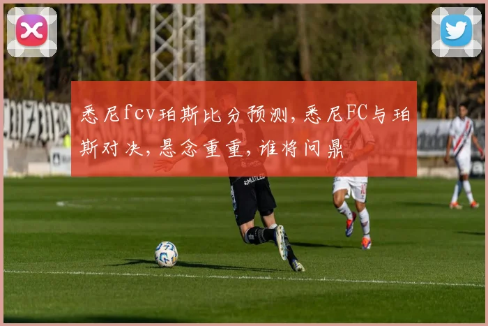 悉尼fcv珀斯比分预测,悉尼FC与珀斯对决,悬念重重,谁将问鼎