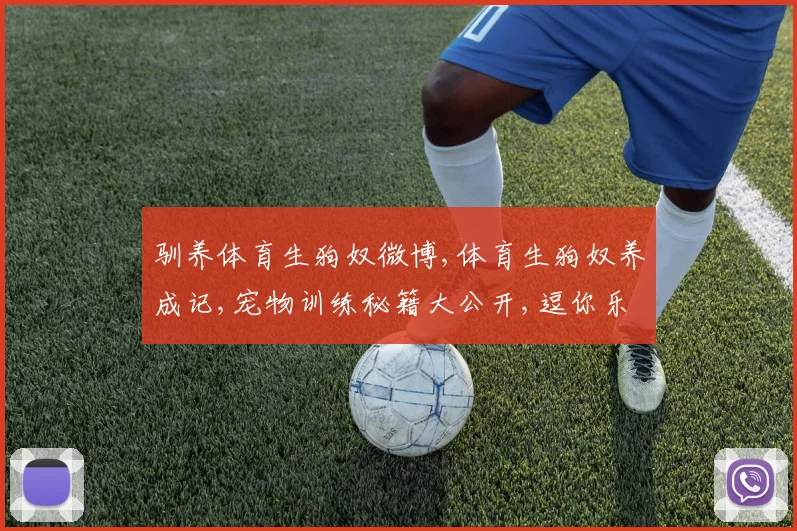 驯养体育生狗奴微博,体育生狗奴养成记,宠物训练秘籍大公开,逗你乐翻天